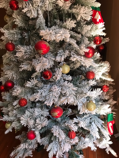 圣诞树用的装饰物
